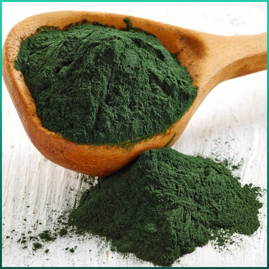 Extrait de Spiruline